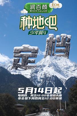 猫咪第一次见到小奶狗的反应，太治愈了 - 蕾丝视频污
